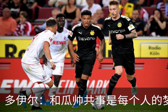 多伊尔：和瓜帅共事是每个人的梦想
